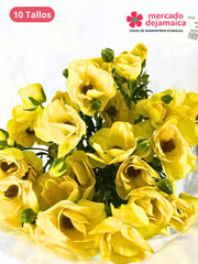 Ranunculus Mariposa Amarillo