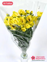 Ranunculus Mariposa Amarillo