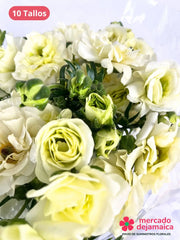 Ranunculus Mariposa Crema