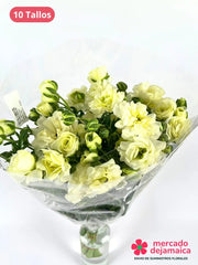 Ranunculus Mariposa Crema