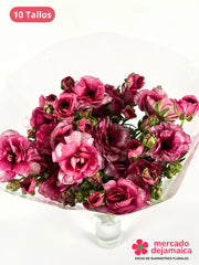 Ranunculus Mariposa Fucsia