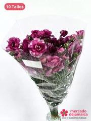 Ranunculus Mariposa Fucsia