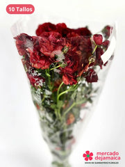 Ranunculus Mariposa Rojo