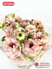 Ranunculus Mariposa Rosa
