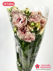 Ranunculus Mariposa Rosa