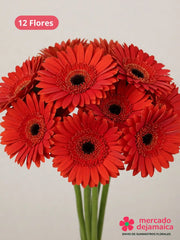 Gerberas rojas caja