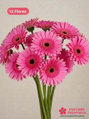 Gerberas rosa caja