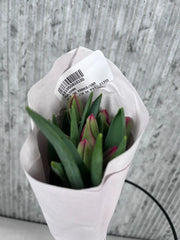 Tulipanes rojos ramo