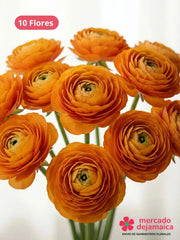Ranunculus Naranja