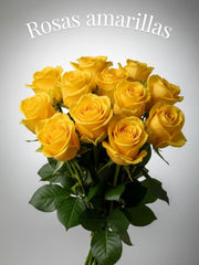 Rosas Amarillas