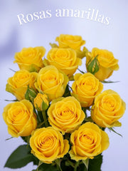Rosas Amarillas