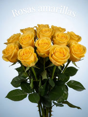 Rosas Amarillas