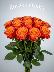 Rosa Naranja