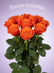 Rosa Naranja