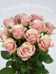 Rosa Pink Amareto