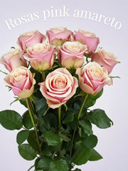 Rosa Pink Amareto