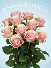 Rosa Pink Amareto