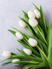 Tulipanes blancos ramo