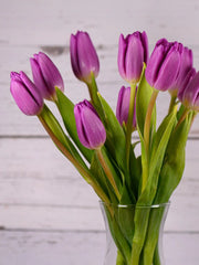Tulipanes morados ramo