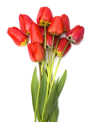 Tulipanes naranja ramo